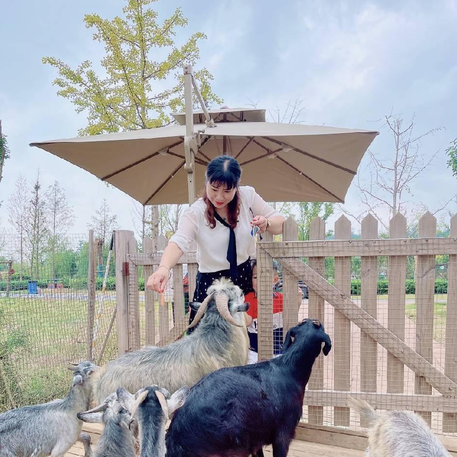 风雨同舟70后木子李