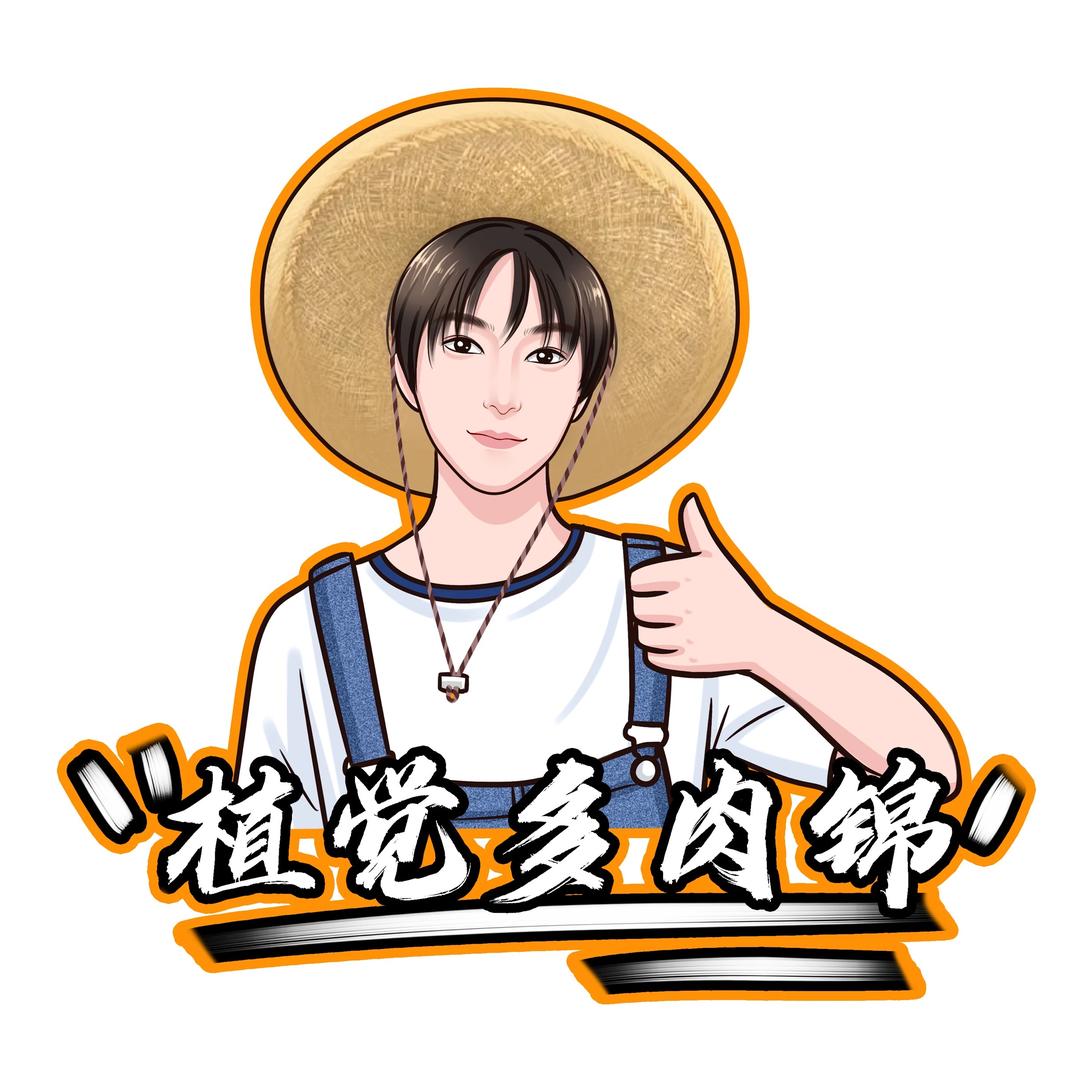 植觉多肉锦
