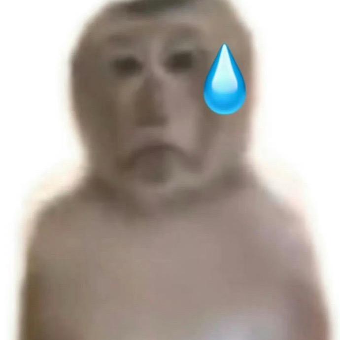 不得了的晴天🌞