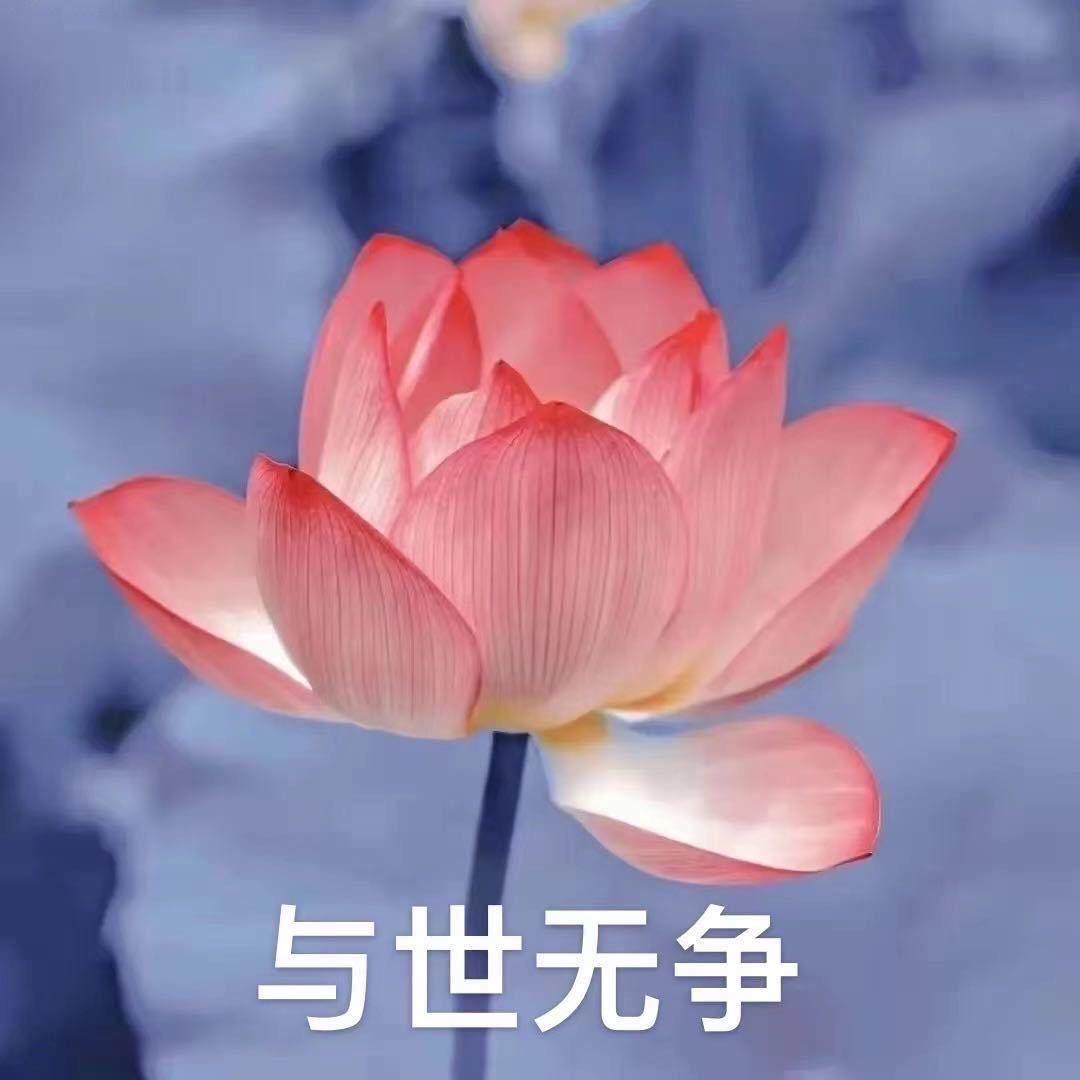 不许你三心两意