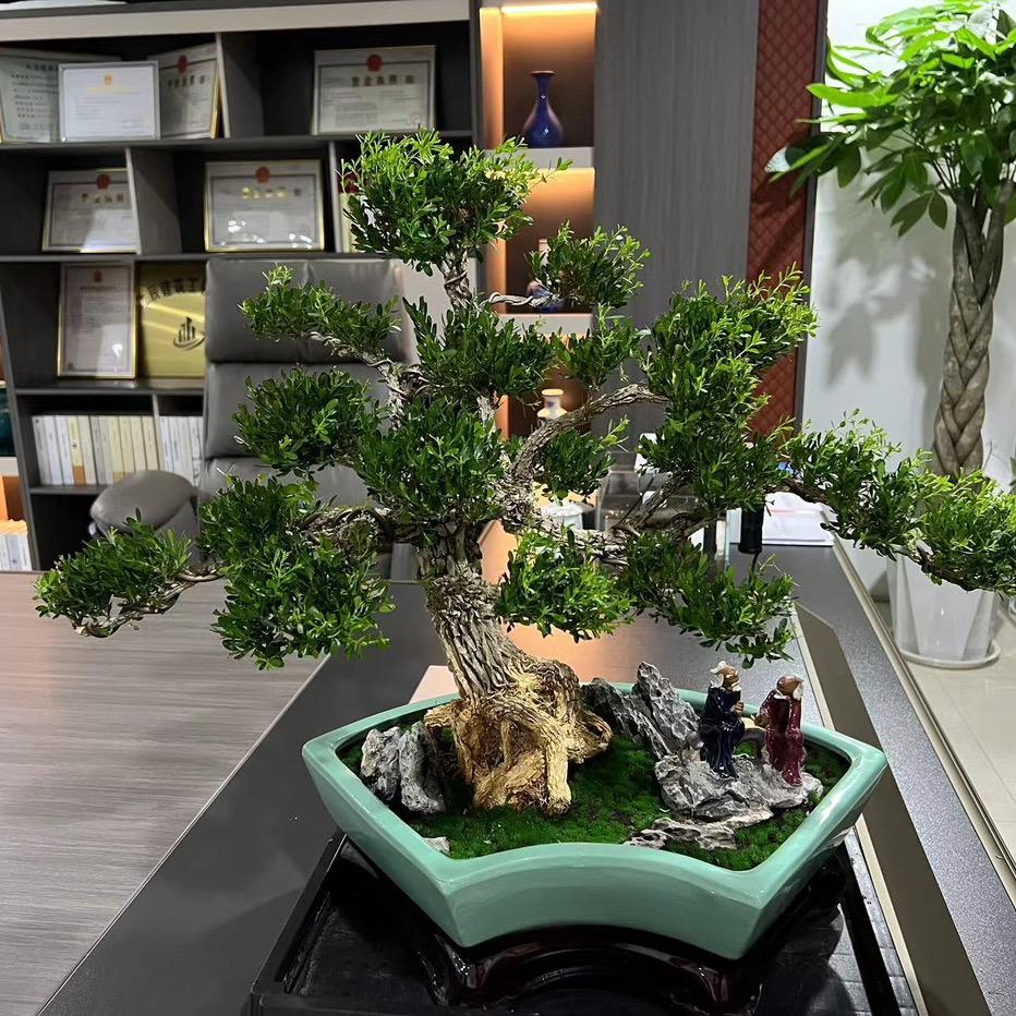 鹤壁双牛花卉
