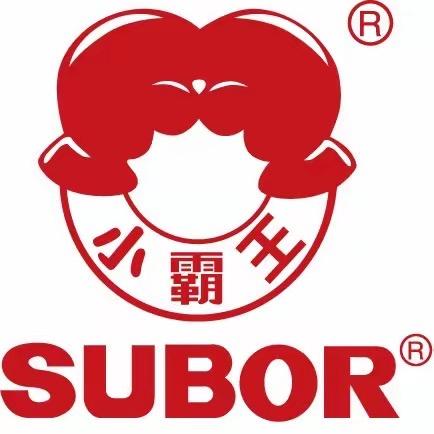 小霸王数码潮玩