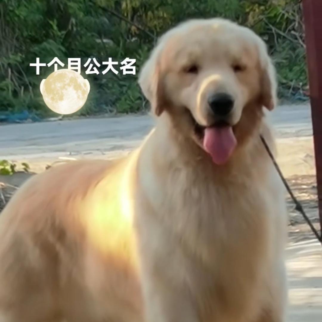 谷天龙彩曼综合好物小铺