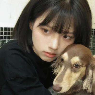 晚风吹行舟