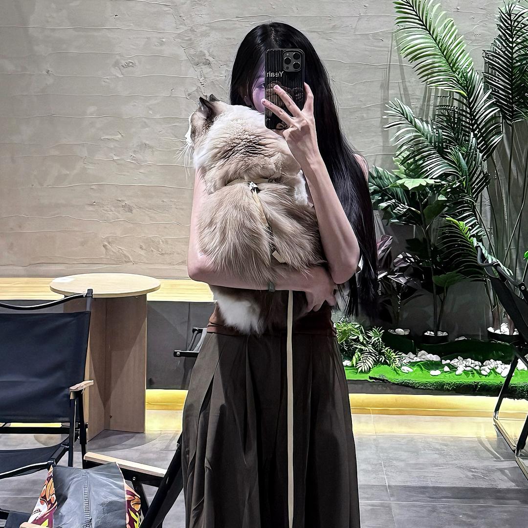 摆烂小狗.