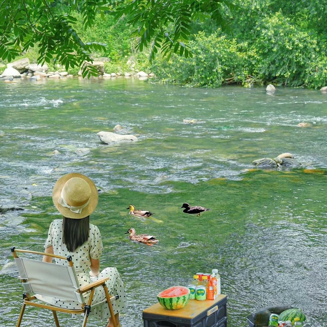 糖逗旅行