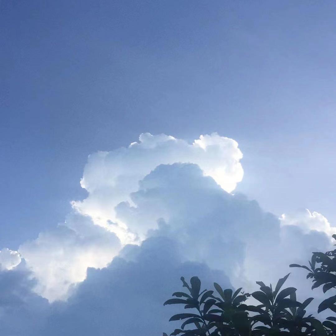是这样吗？
