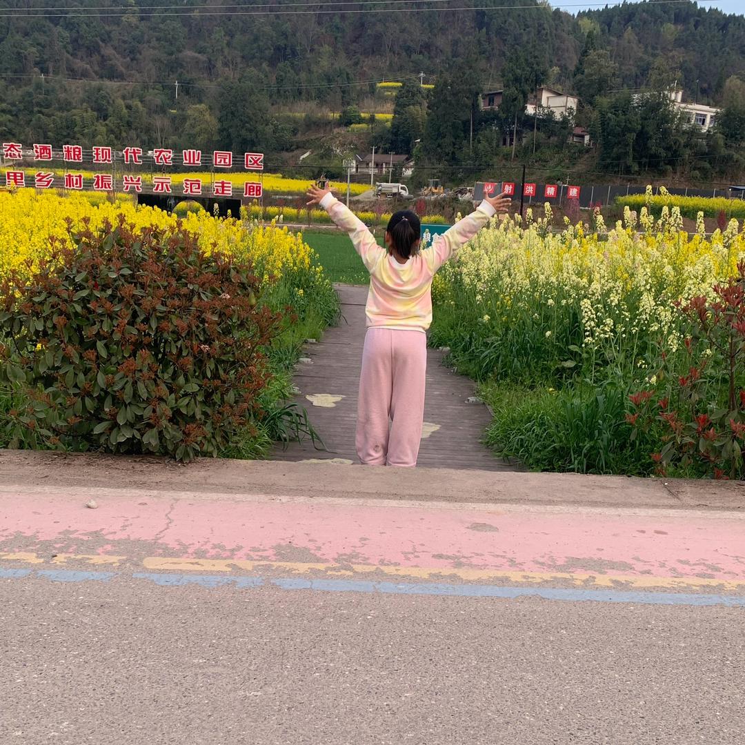 花开无声