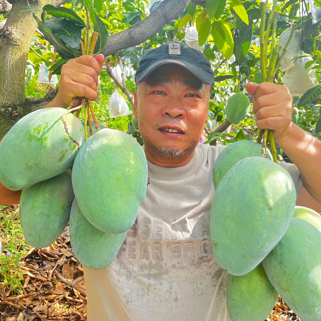 大莹姐鲜果(大)
