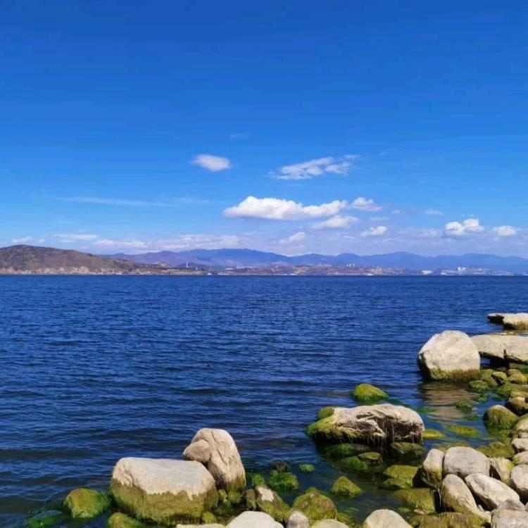 天龙八部怀旧-十猛龙