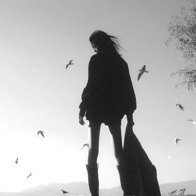 蜜汁卢肉饭.（减肥版）