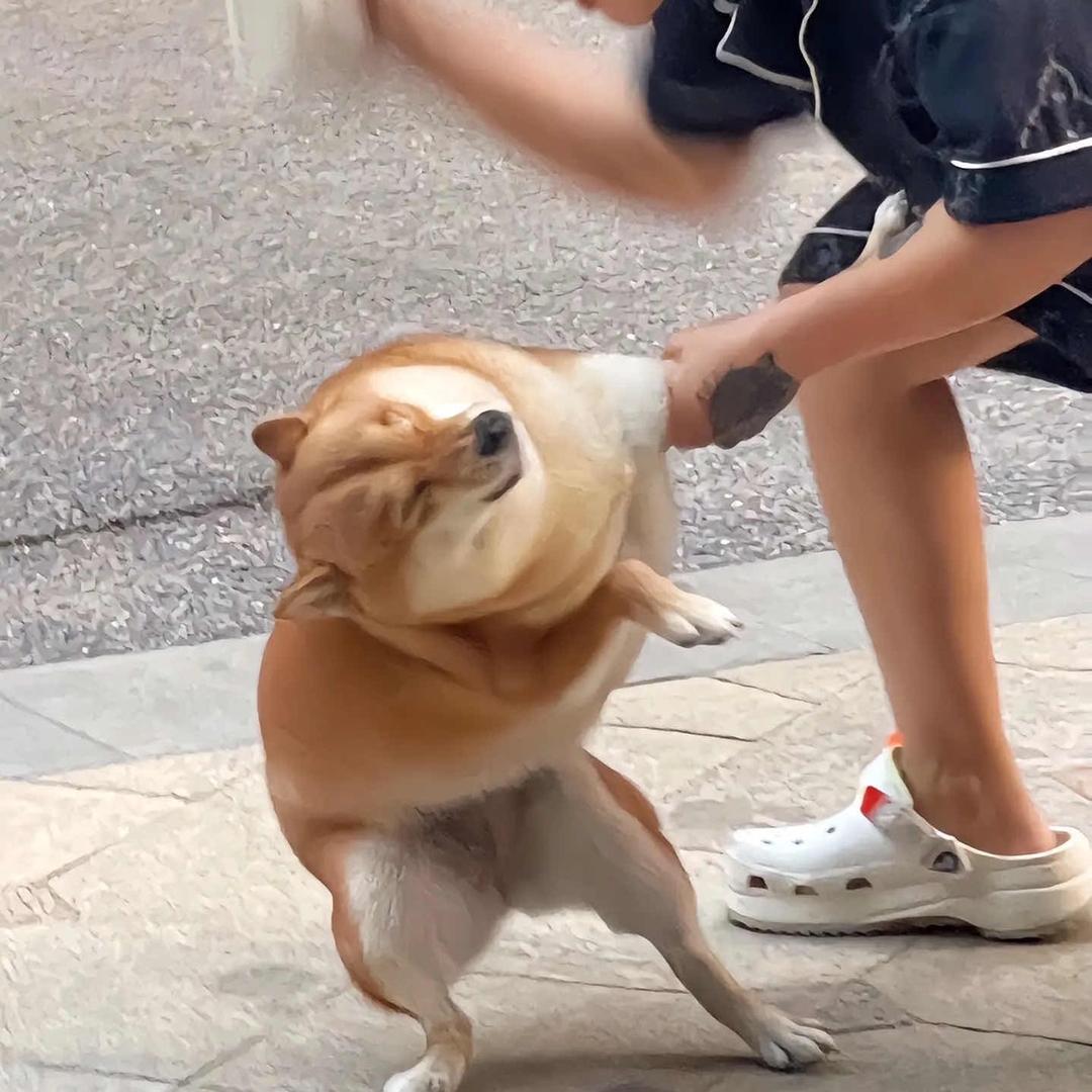 喜风