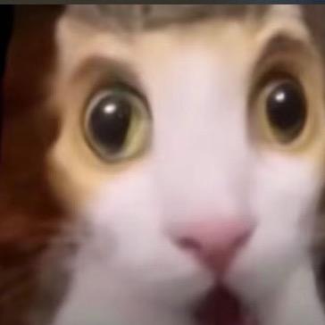 㥤