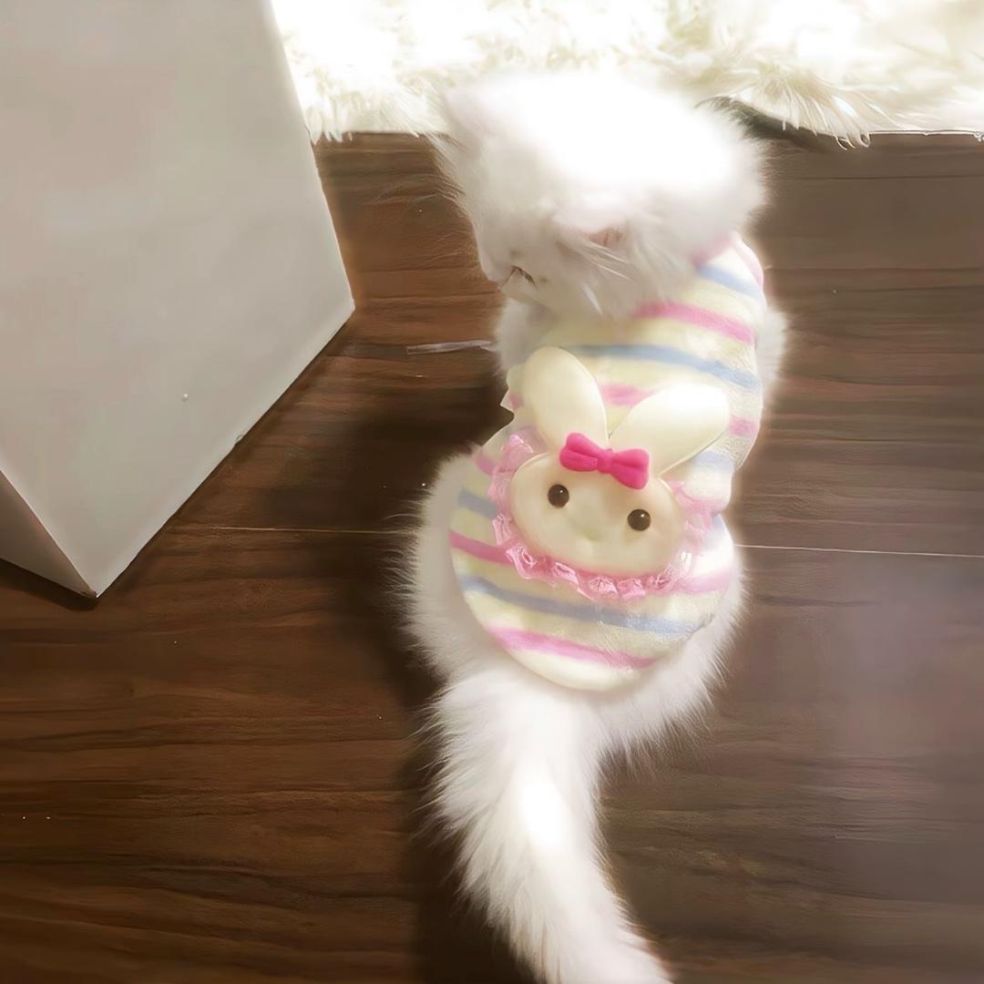 木棉花.