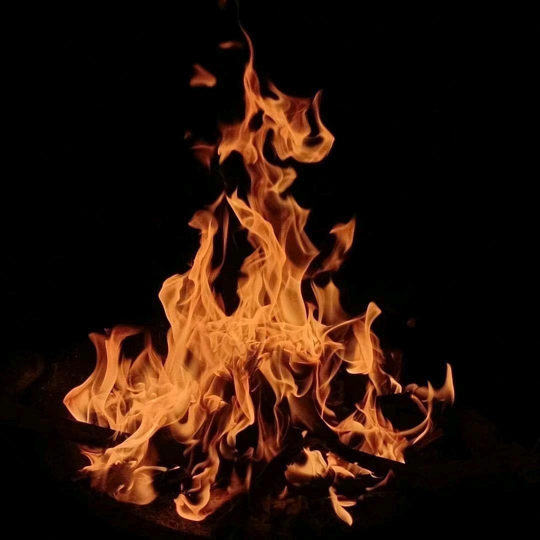 黄金炒饭🔥
