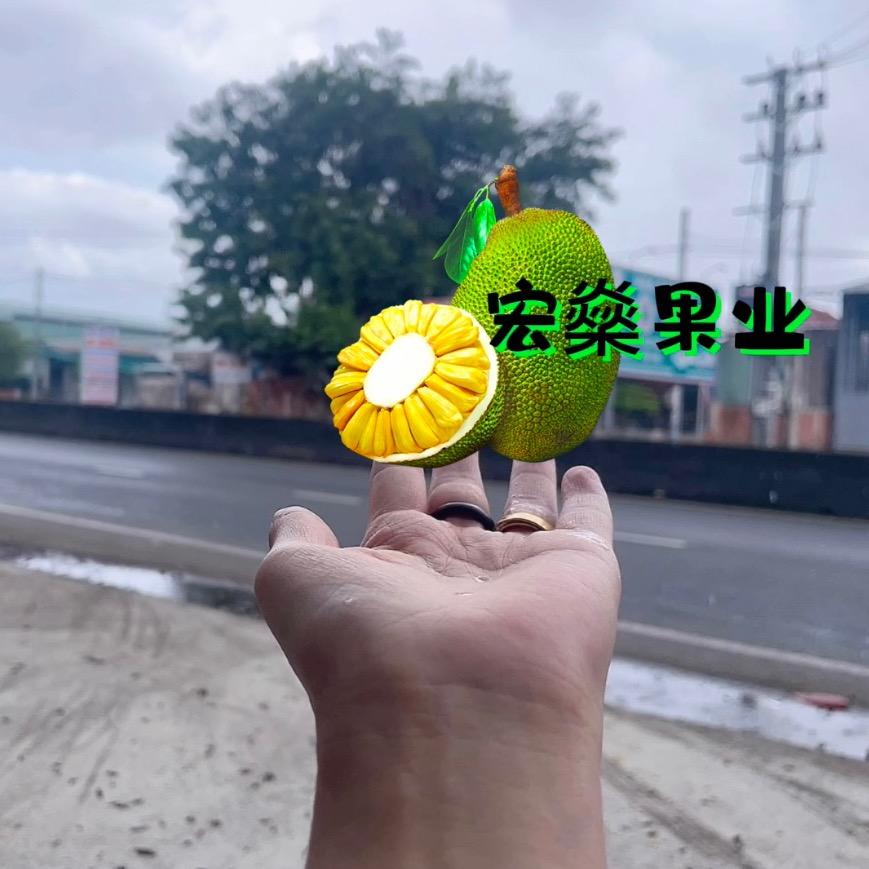 大晴和小雷(在越南🇻🇳)
