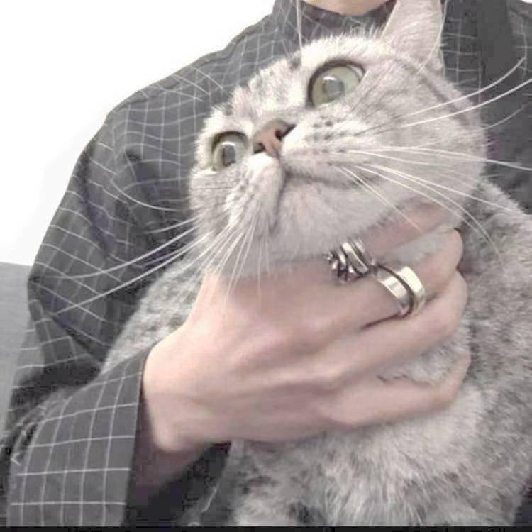 面z