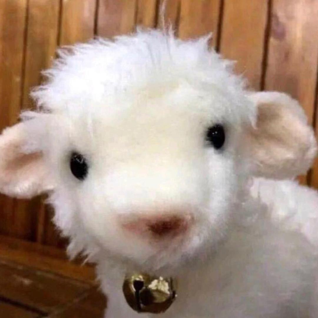 -yyyu             🕷