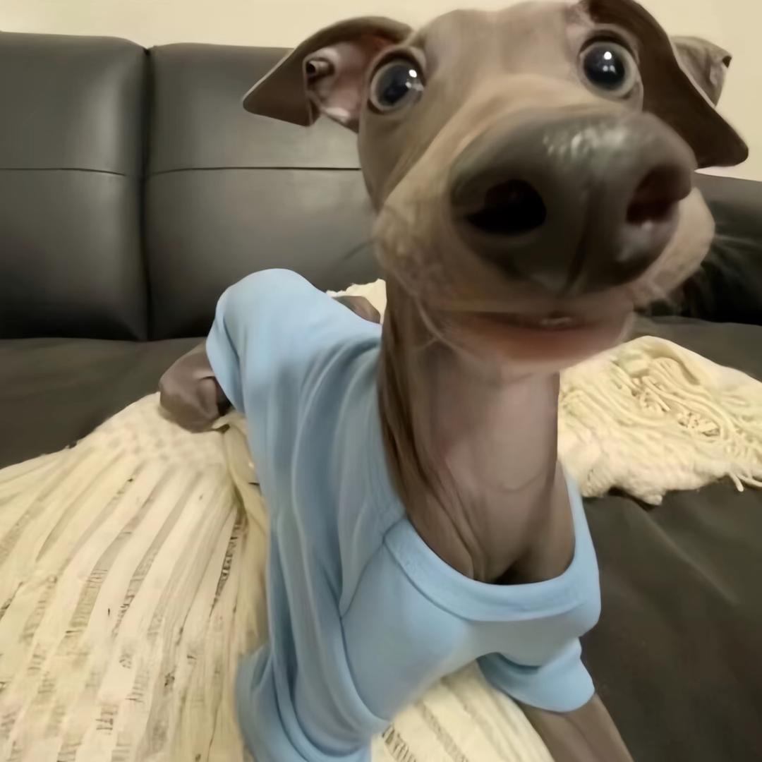 嘿～