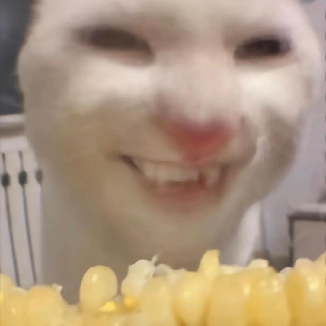小琳君