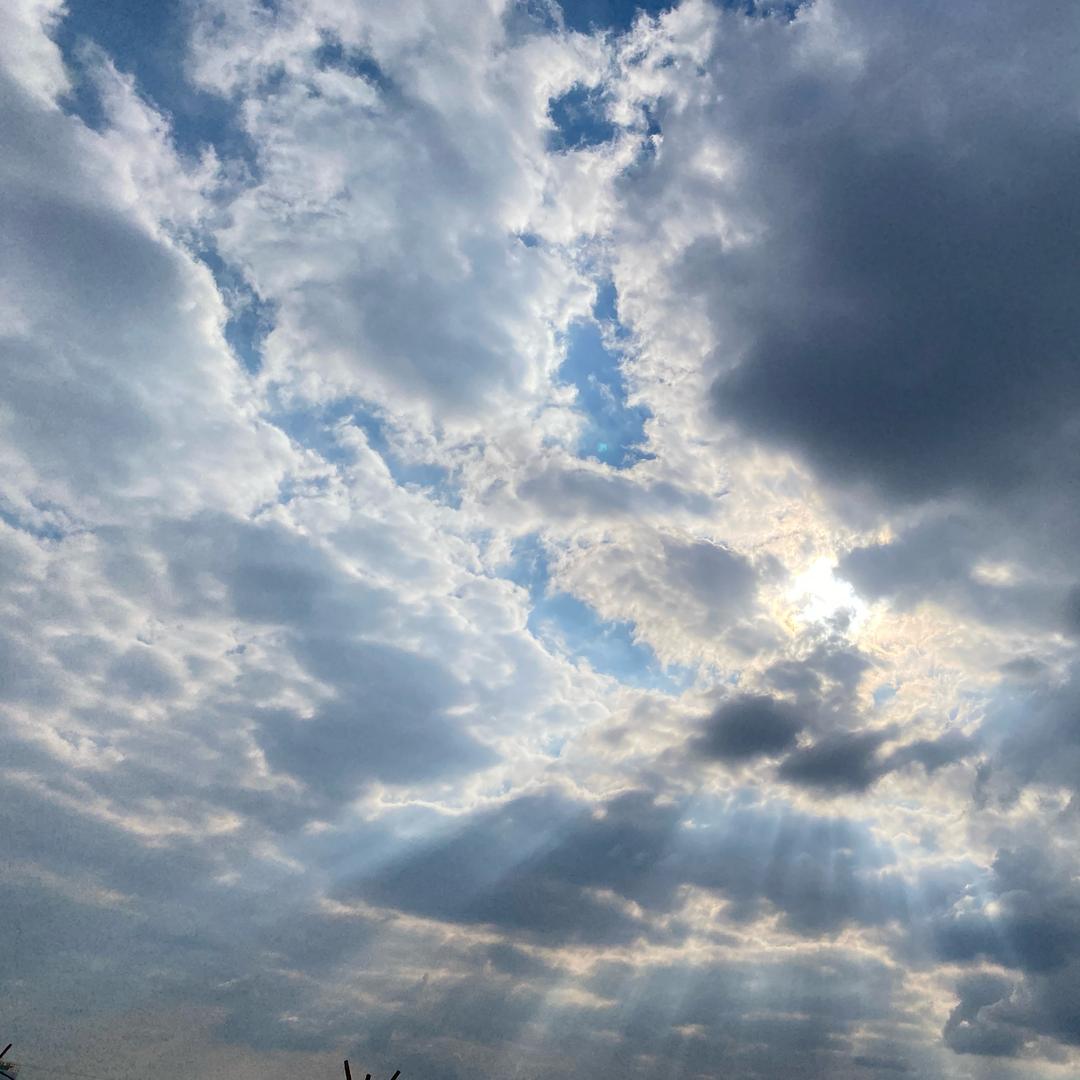 在路上🚶‍➡️