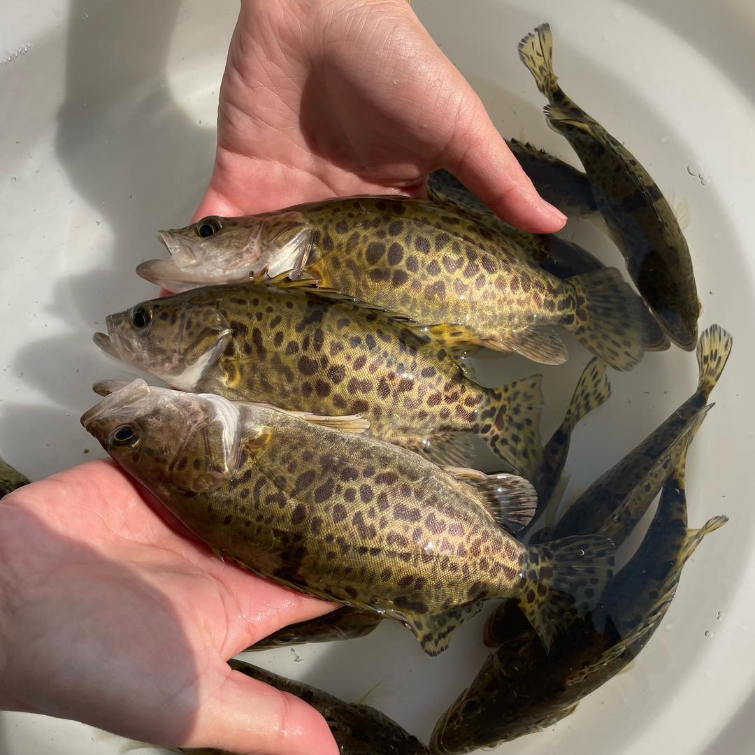 悦恒水产批发铺