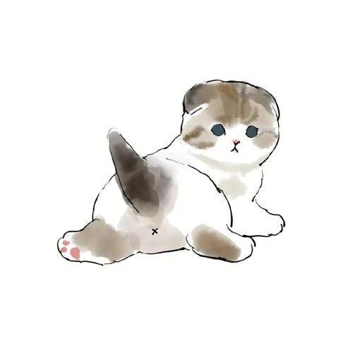 苏浩奇