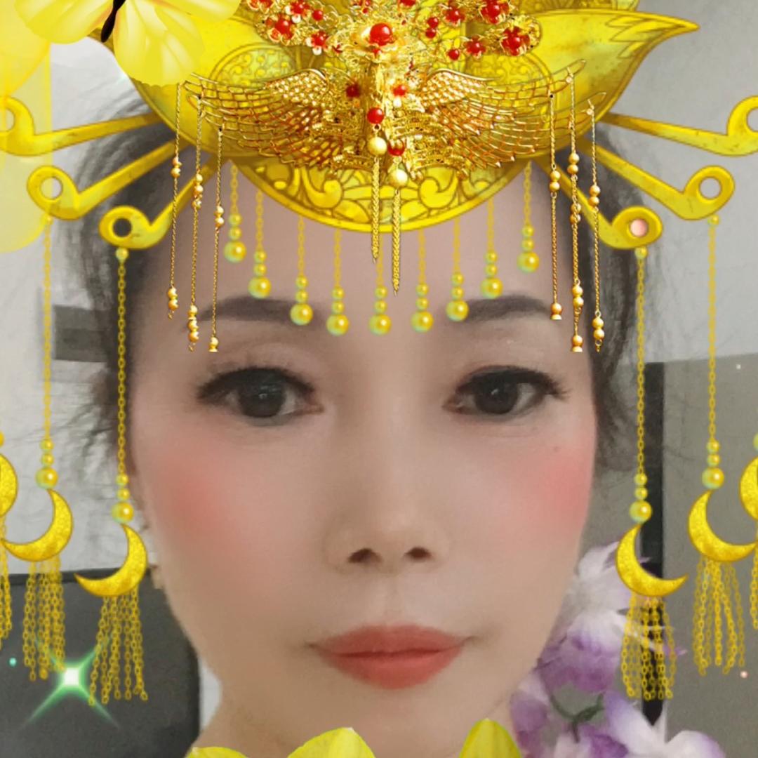 秦 缘