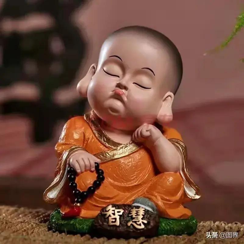 🇨🇳心若菩提🇨🇳