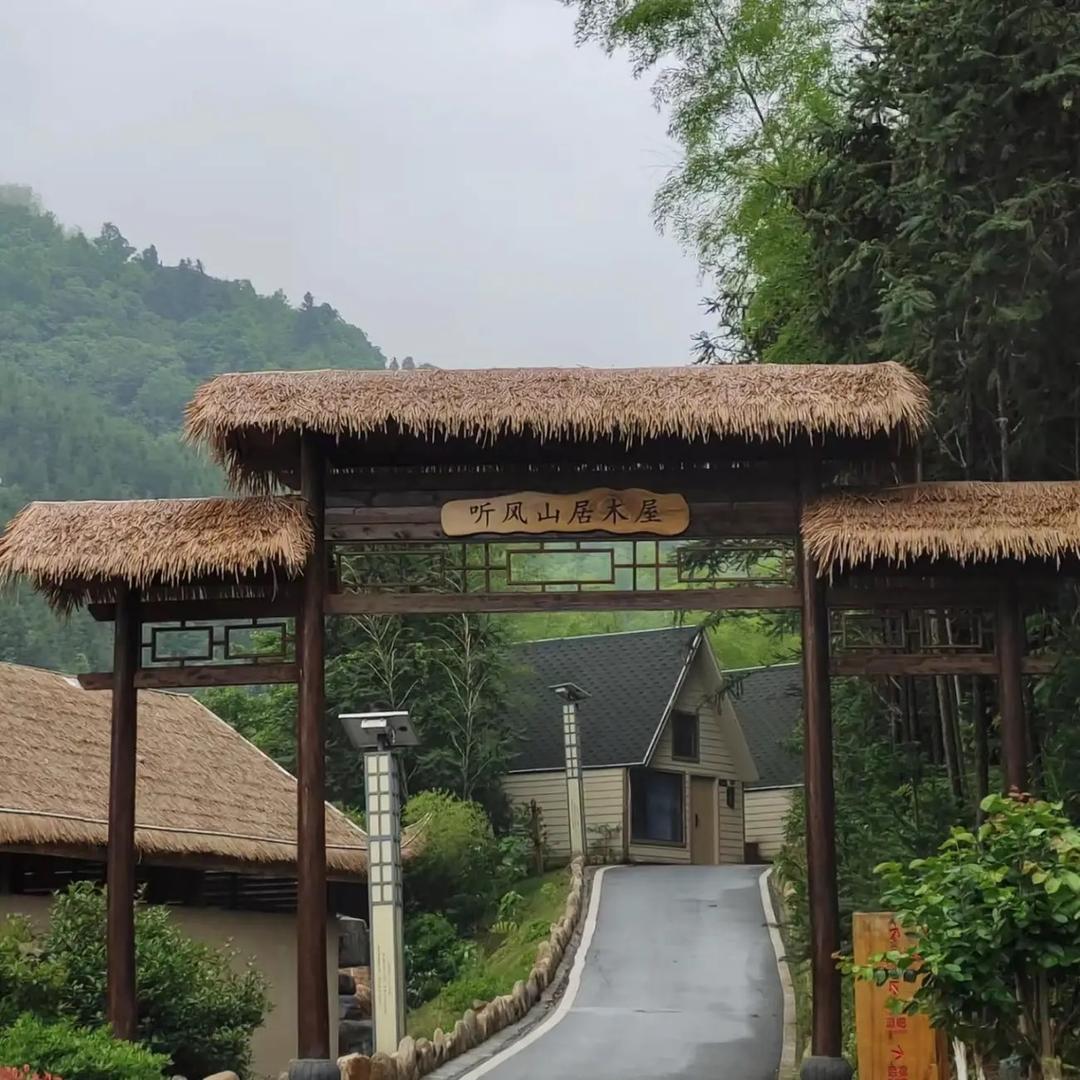 装饰茅草