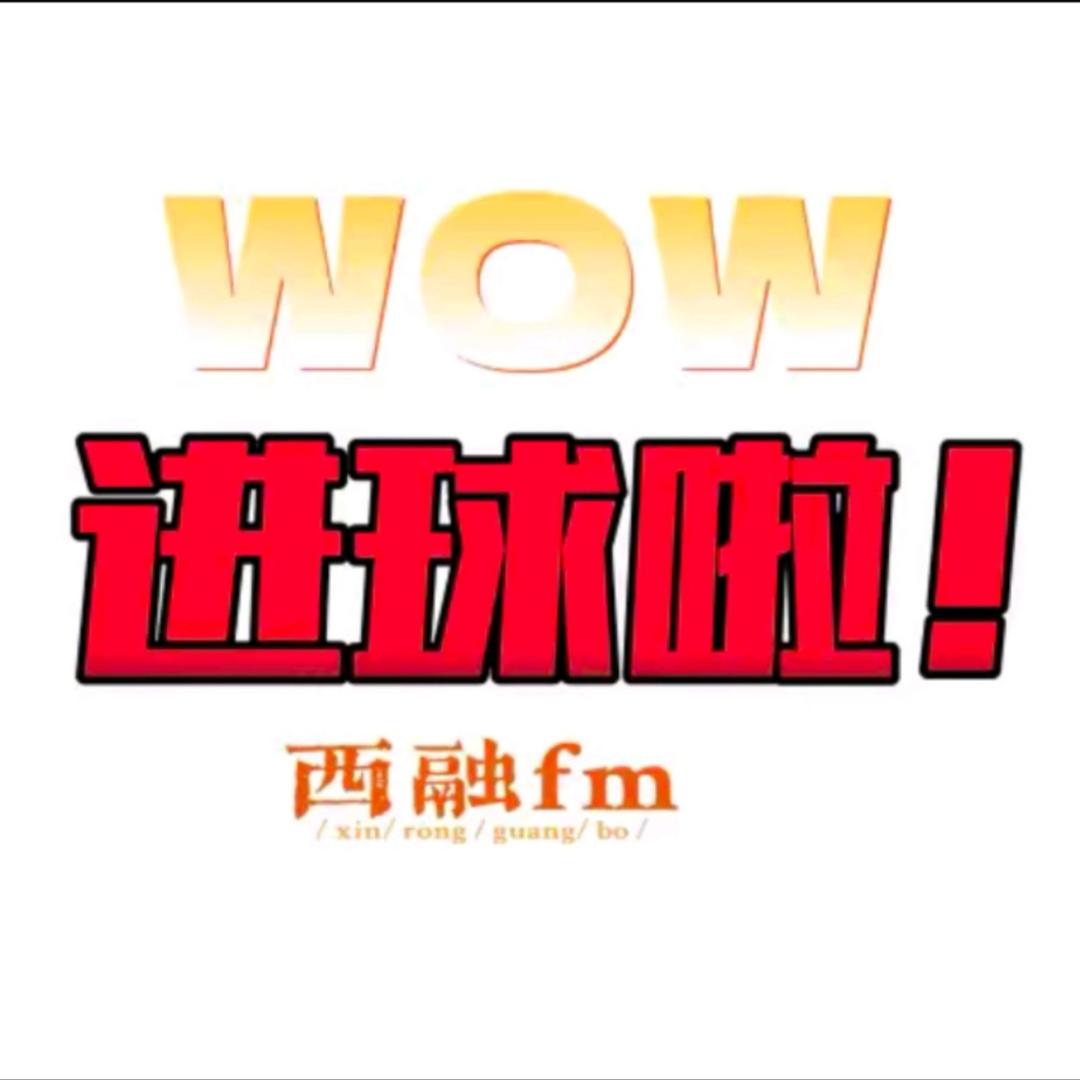 进球啦！西平融媒广播电台
