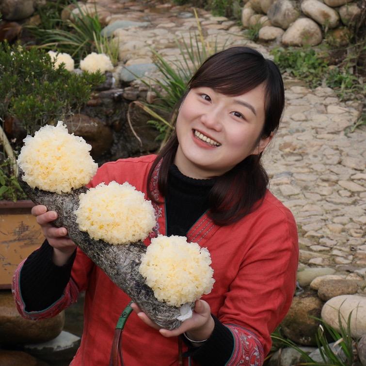 豆豆的银耳