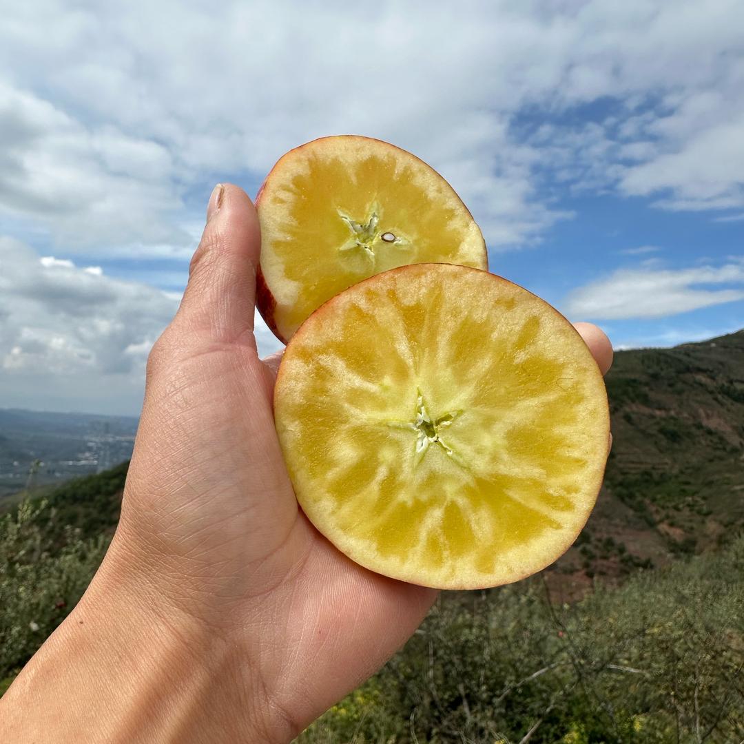 徐三娃的糖心苹果