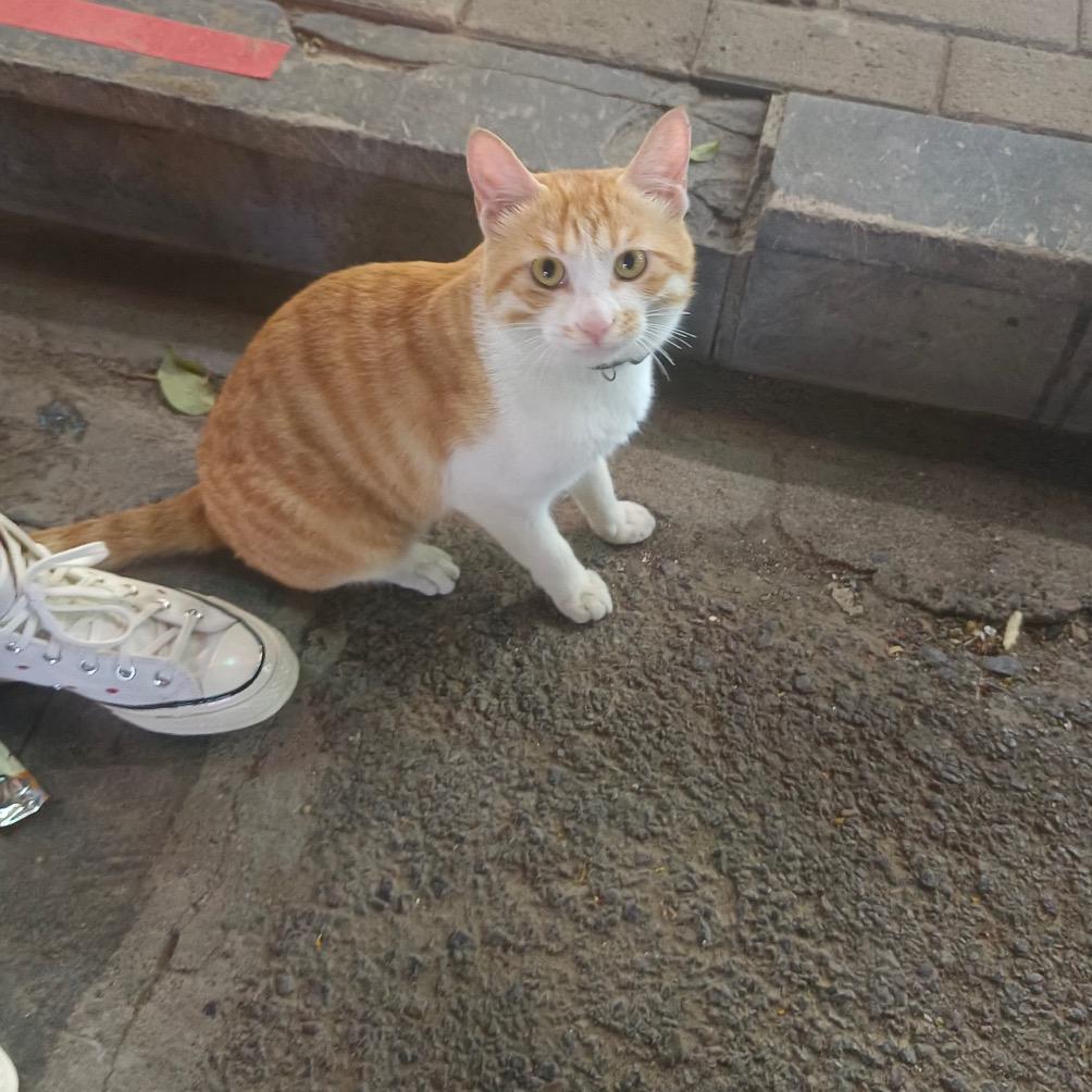 x少吃应该会瘦