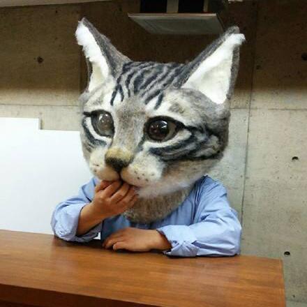 游戏猫头