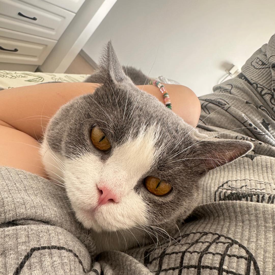 屁蹲儿&年年的兄弟日常