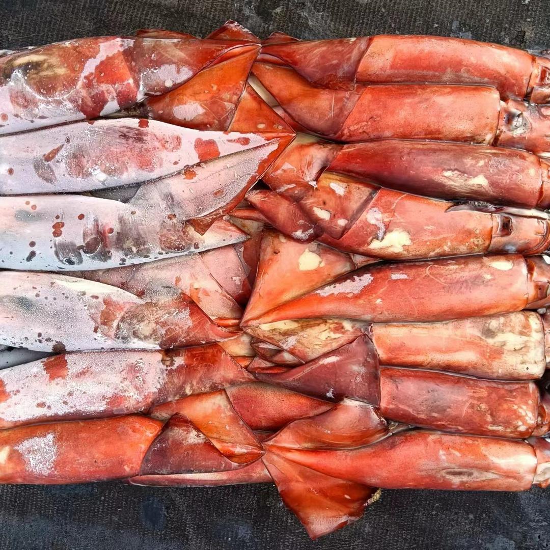 舟山鱿鱼～董千里