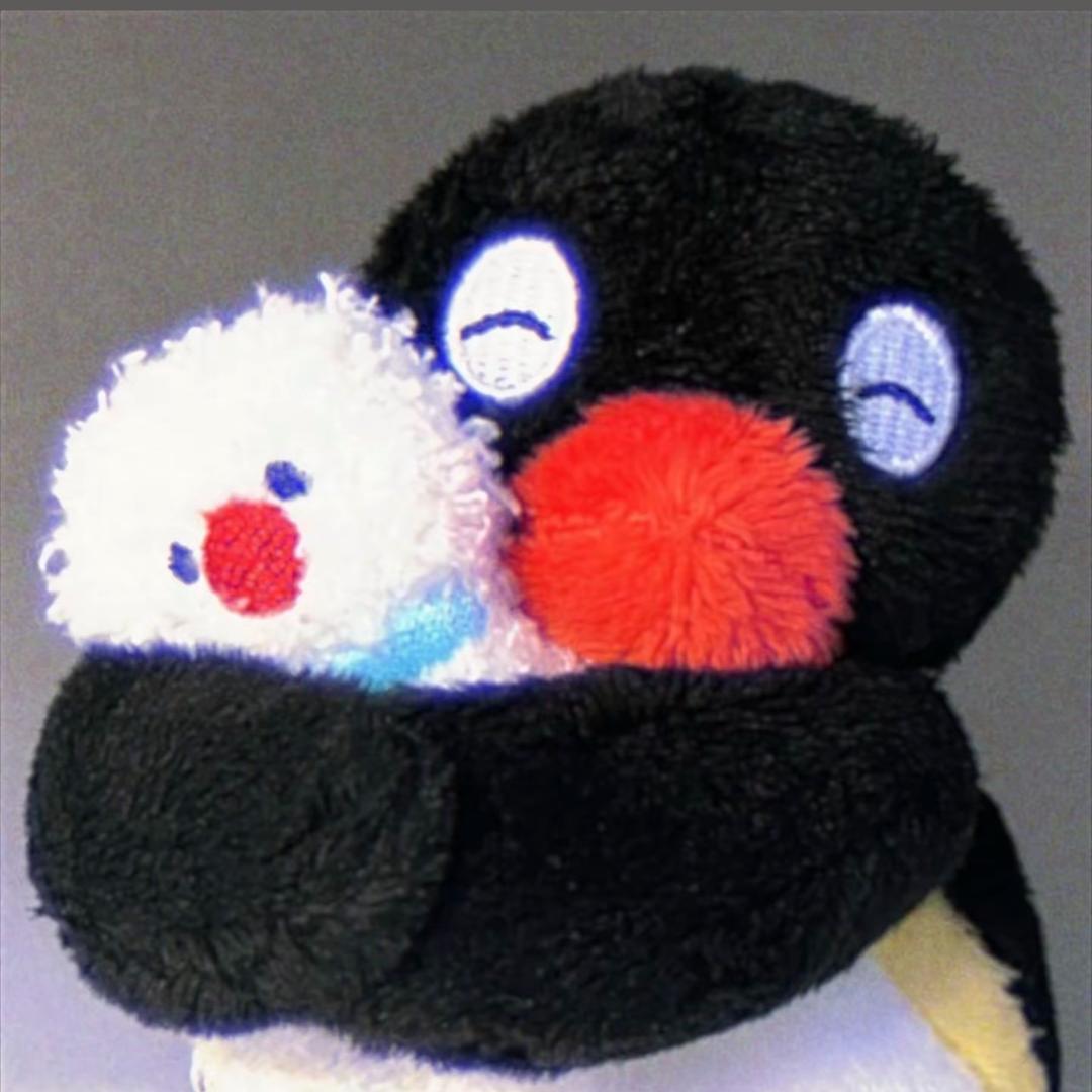 ʕ·ᴥ·ʔ