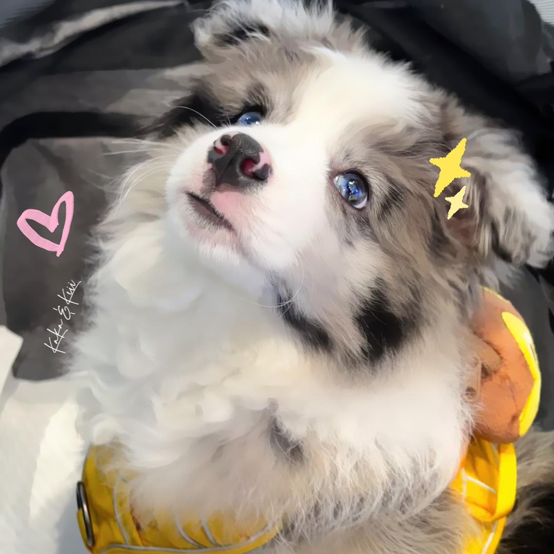 keii三号机