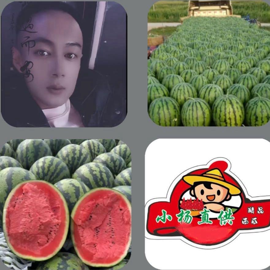 小杨西瓜🍉直供
