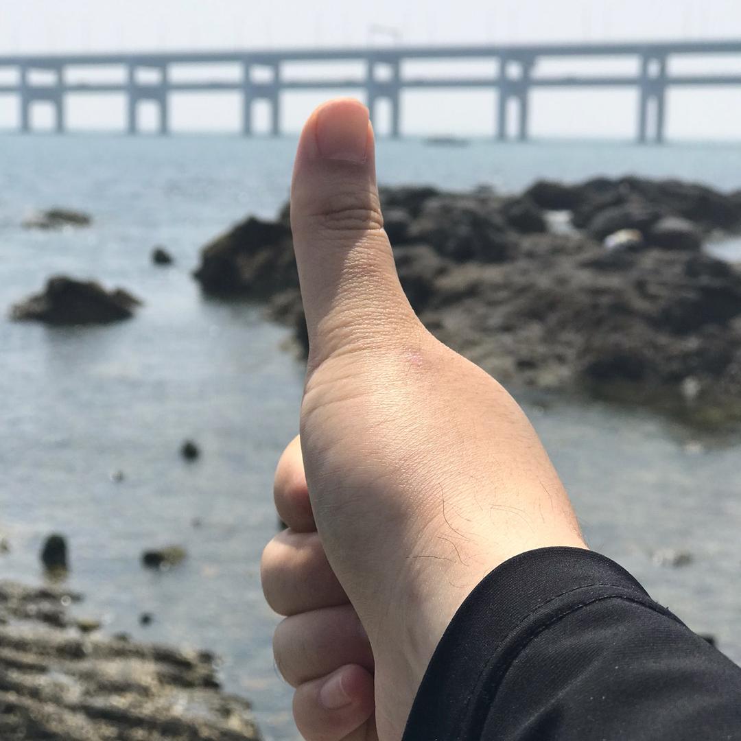 爱鹏