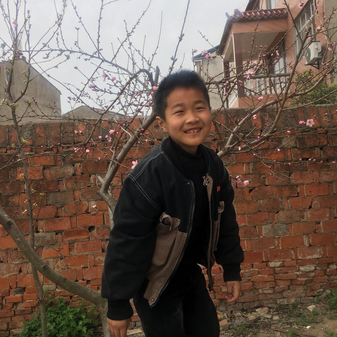 @林深时见鹿