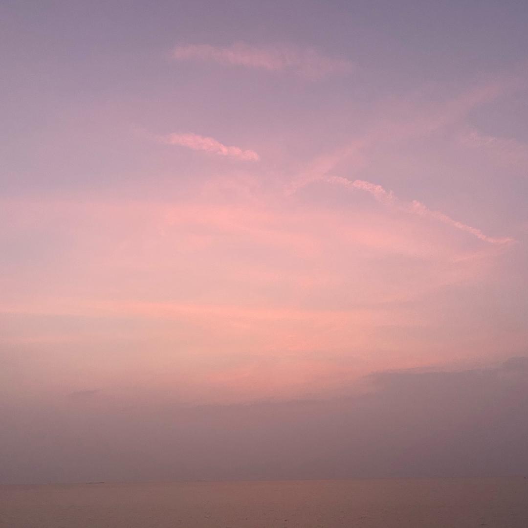 南方优选