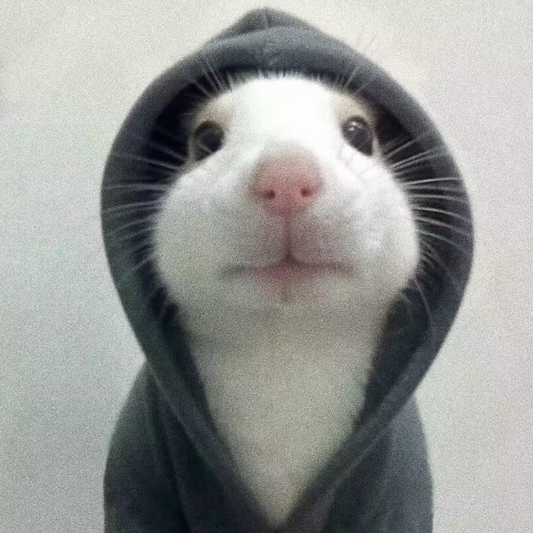 贰拾暑假兼职版