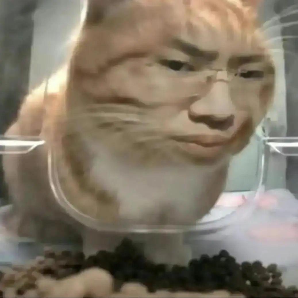 对方不是你的