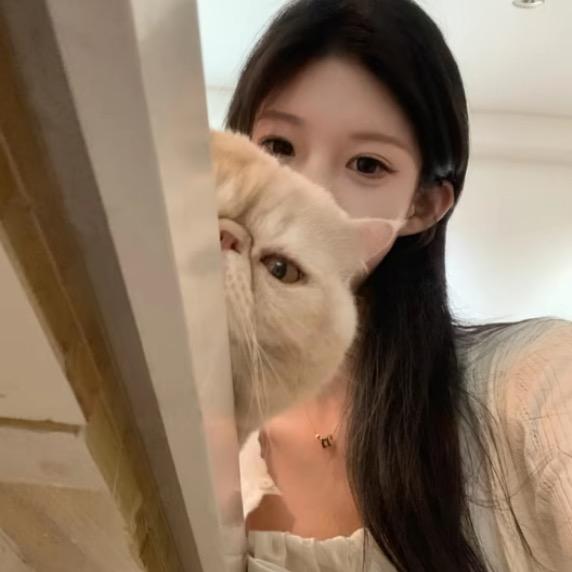 陈美嘉