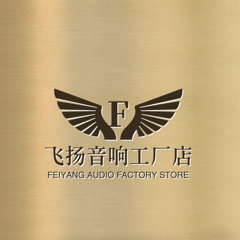 飞扬音响工厂店