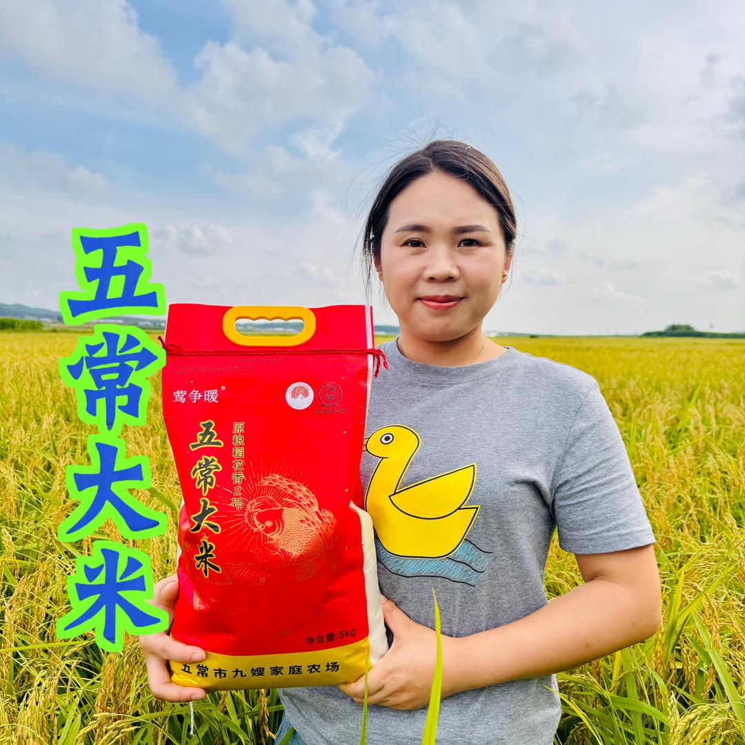 五常九嫂家庭农场
