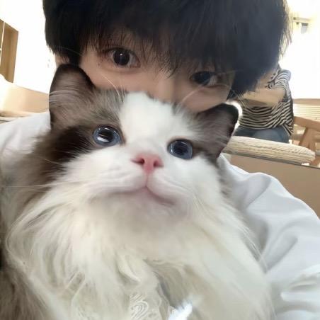 小洋.