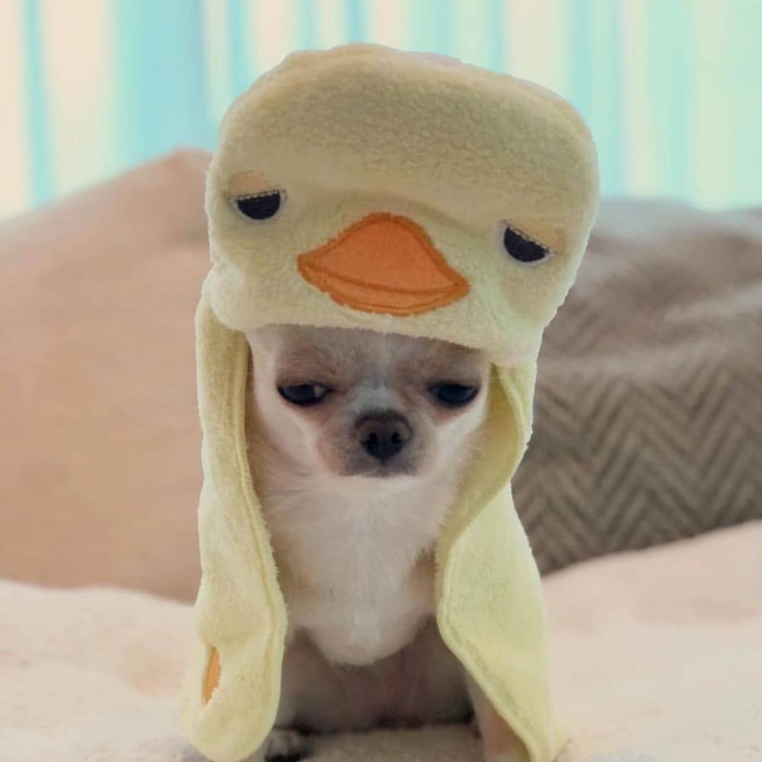 ^ω^